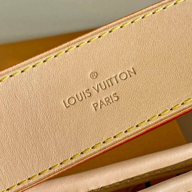 Louis Vuitton Damier Azur Canvas Delightful MM N41448 Easybags117178